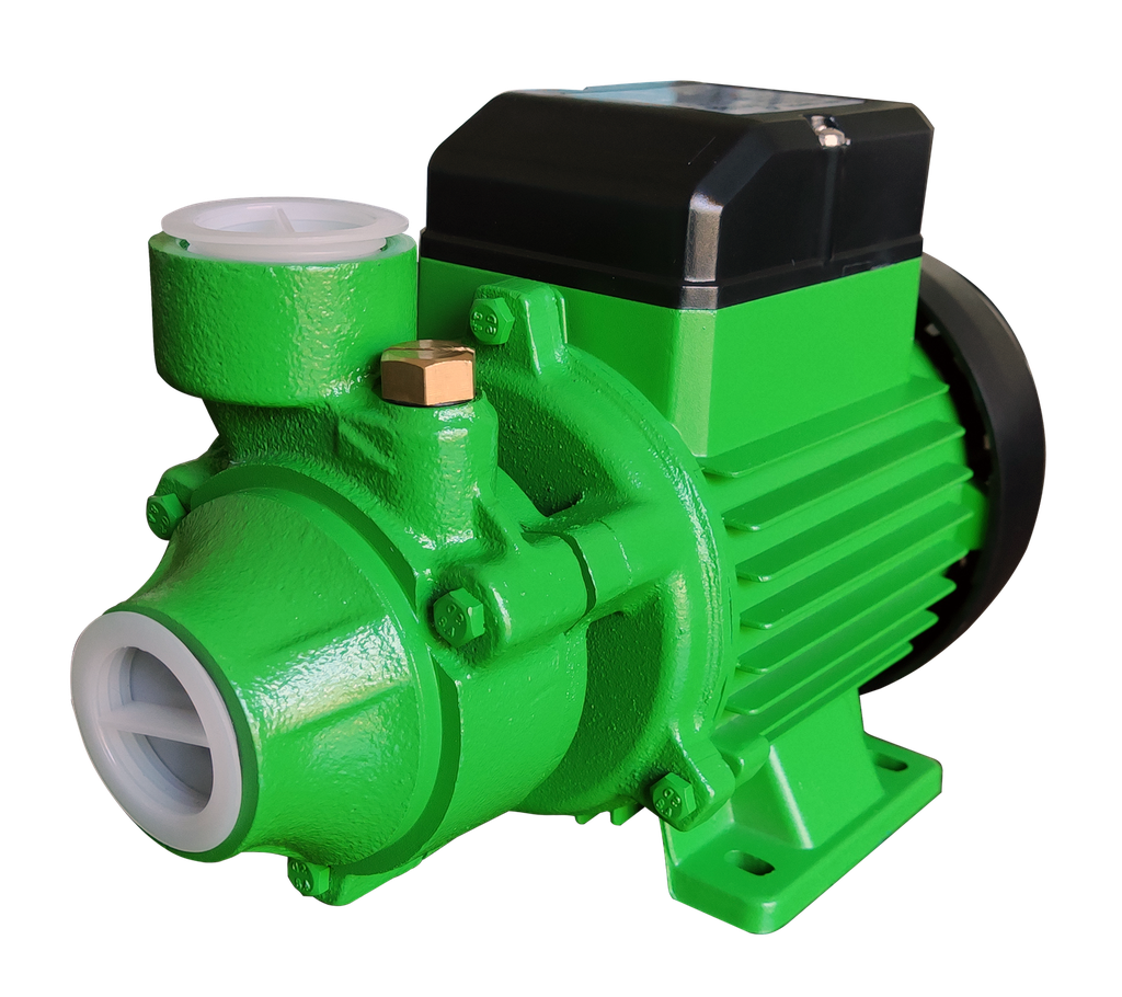 BOMBA ELECTRICA PERIFERICA RW PR 60 MONOFASICA - ROWA [0019-0033]