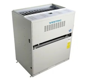 [25635] CALEFACTOR A GAS CG-050 GAC1ANS 50.000KCAL - 220v - WESTRIC